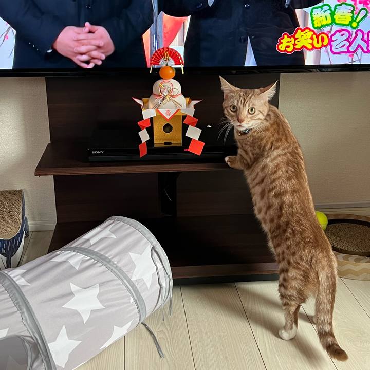 C1d584f3 69af 4658 9b15 97081e815731 1672636311536