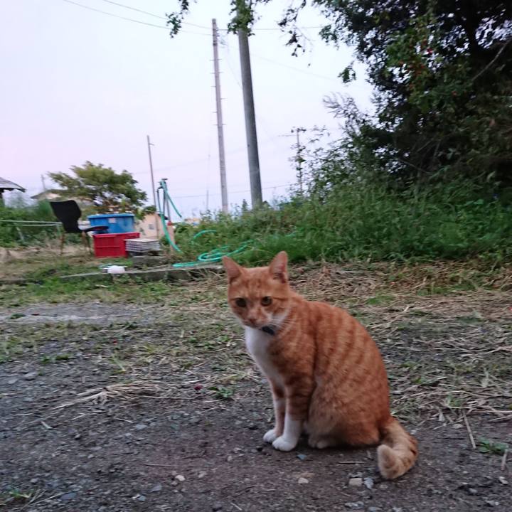 C1d5b6ea 4879 4fb6 9f28 3c9f55670781 1601369112660