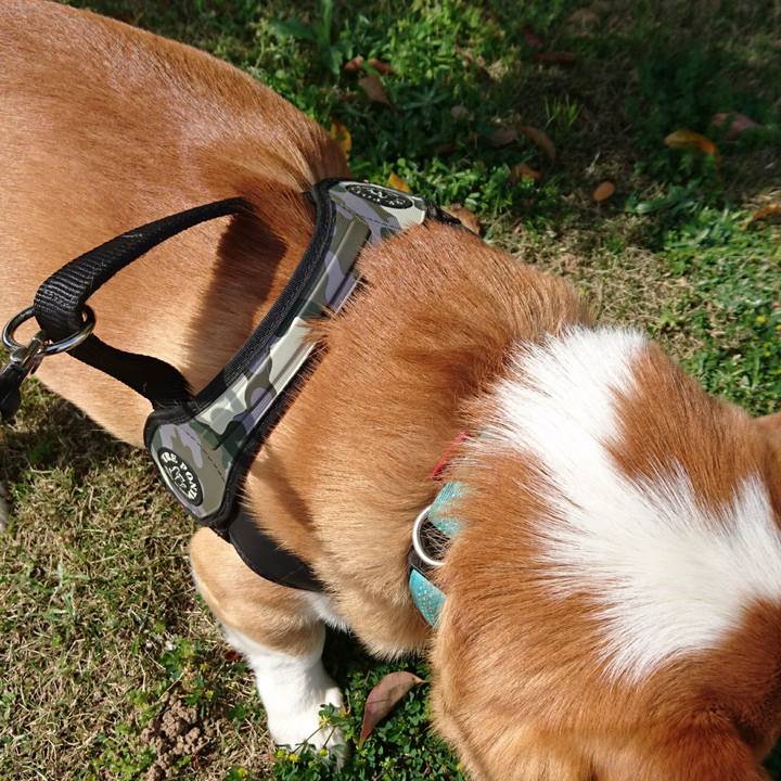 C1d5c805 b9bf 4b6e bc90 a3cec60ed5ea 1619052374517