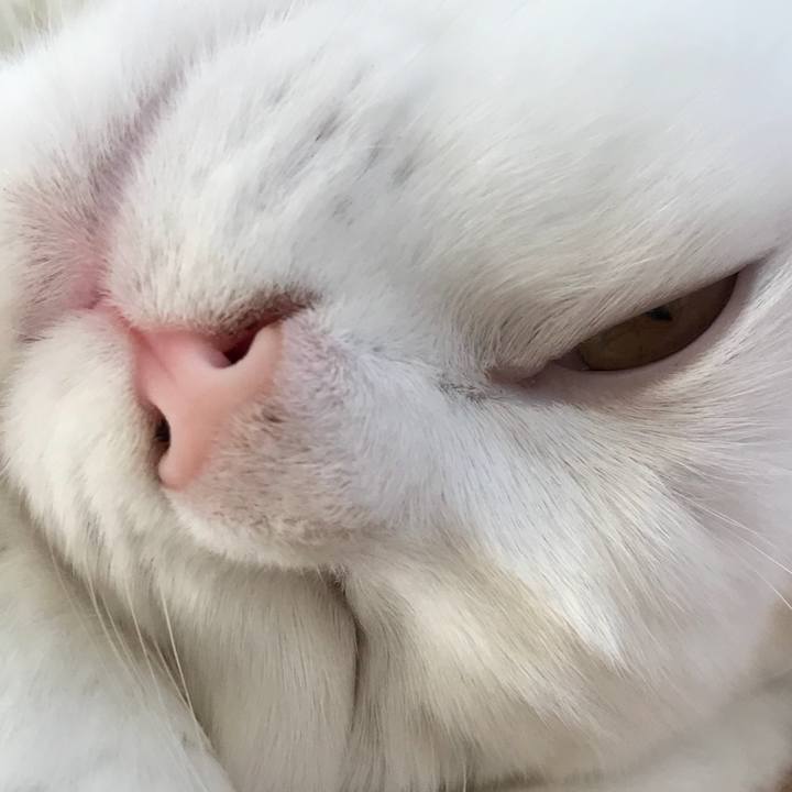 C1d5cc9a 6d5a 4c59 a2e7 79f26ab19129 1520422906205