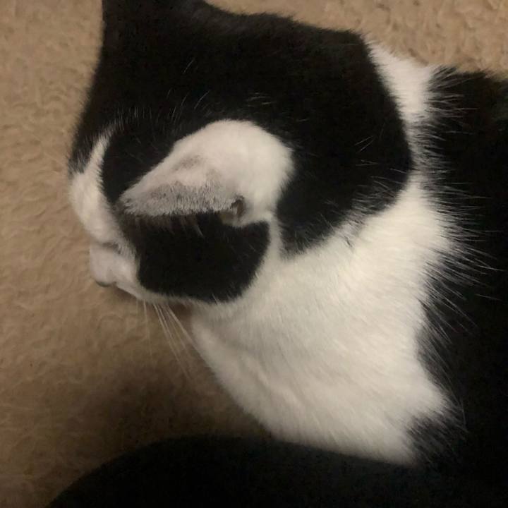 C1d61190 53de 4450 8e98 9acb21beb1f0 1611600660396