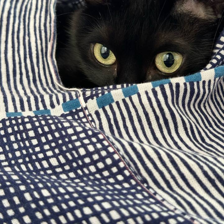 C1d62335 eeb6 4df9 9b99 300eb011504d 1718191963420