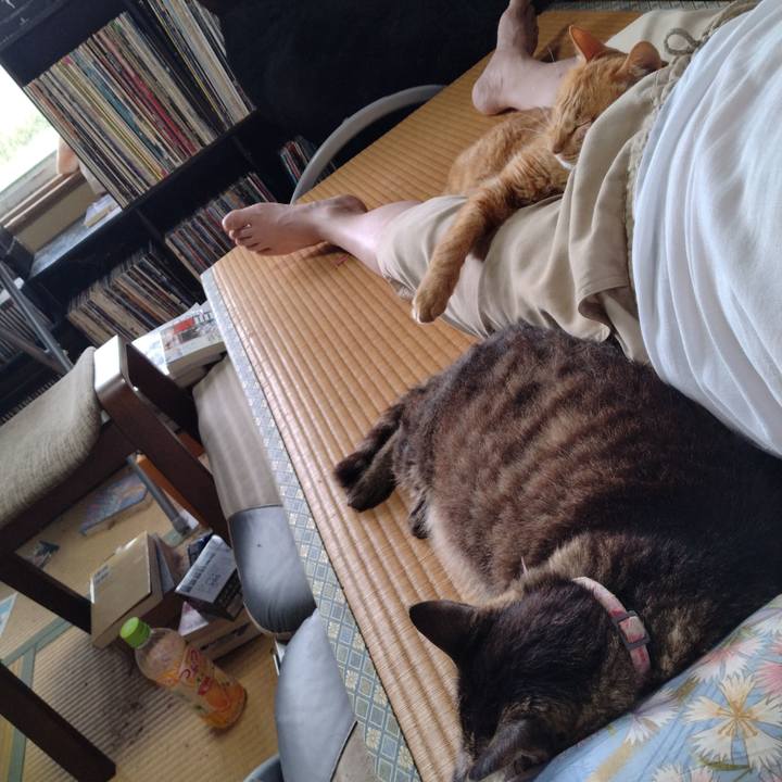 C1d65327 eb7c 490e 9007 6ed6d977b971 1720403081374