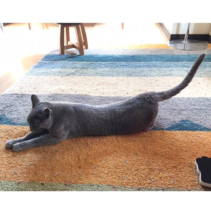 C1d6811b 5f59 40a6 b699 3cded2f488f1 1547112695648