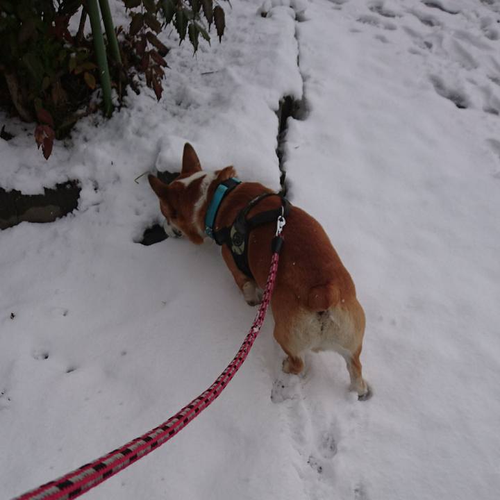 C1d6d5b9 506c 4aff 971a 2d0eded1dccb 1642122510086