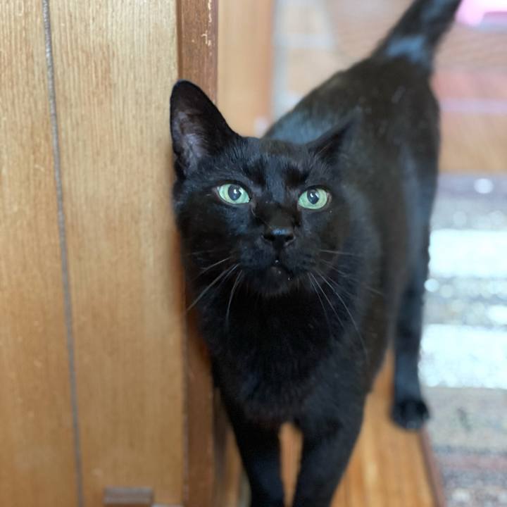 C1d6d9fa 5eb7 4650 9ead 8caf9c917fa0 1628474640629