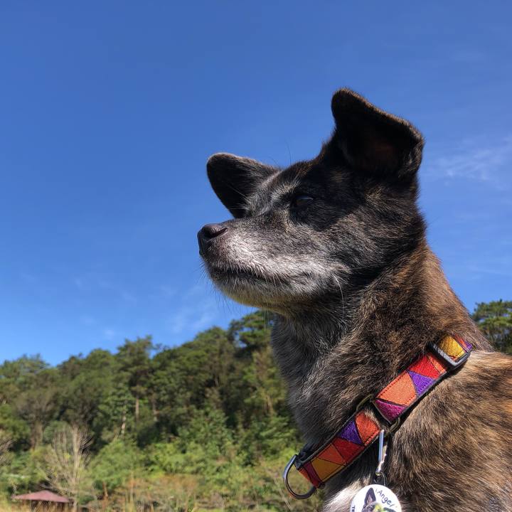 C1d714c8 2f5a 4633 a057 835100e3b515 1601288855627