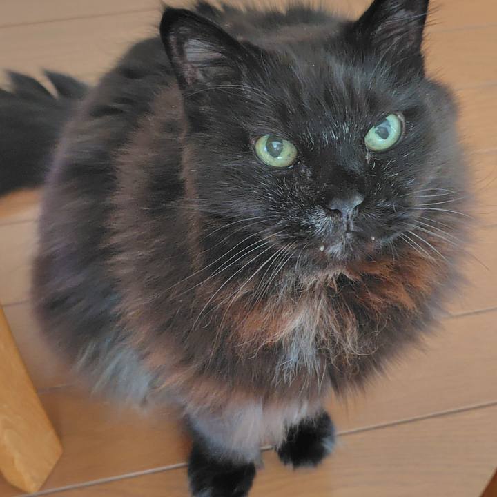 C1d738ab 9a9a 42c7 9b43 a745e32f1d76 1769211060537