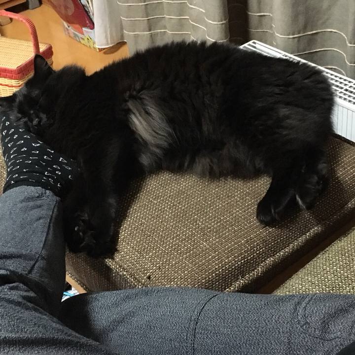 C1d74456 9e3e 442e 84d5 f17cf39ea151 1514802415654