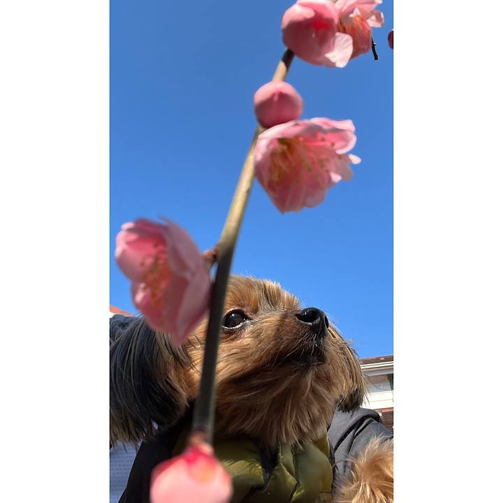 C1d7a4f5 715f 48a1 abb1 75b7ab045902 1645495446635