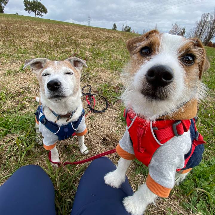 C1d7ef05 18b5 4720 aacc 1c7f27e073a6 1638691723673