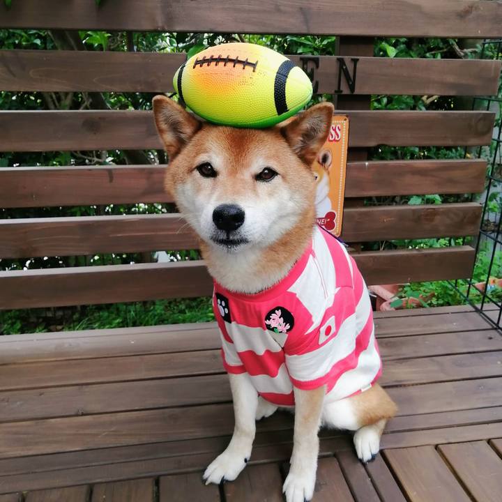 C1d7f9db cb41 4ce3 875f 78aefa7f92c0 1624693087961