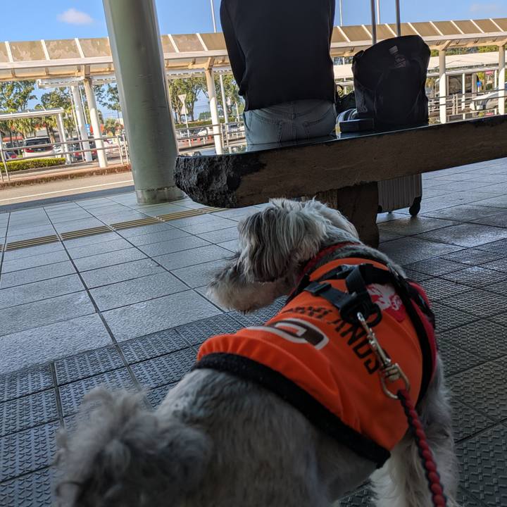 C1d84da6 704b 418a be5e 4aa586c41b97 1760446025179