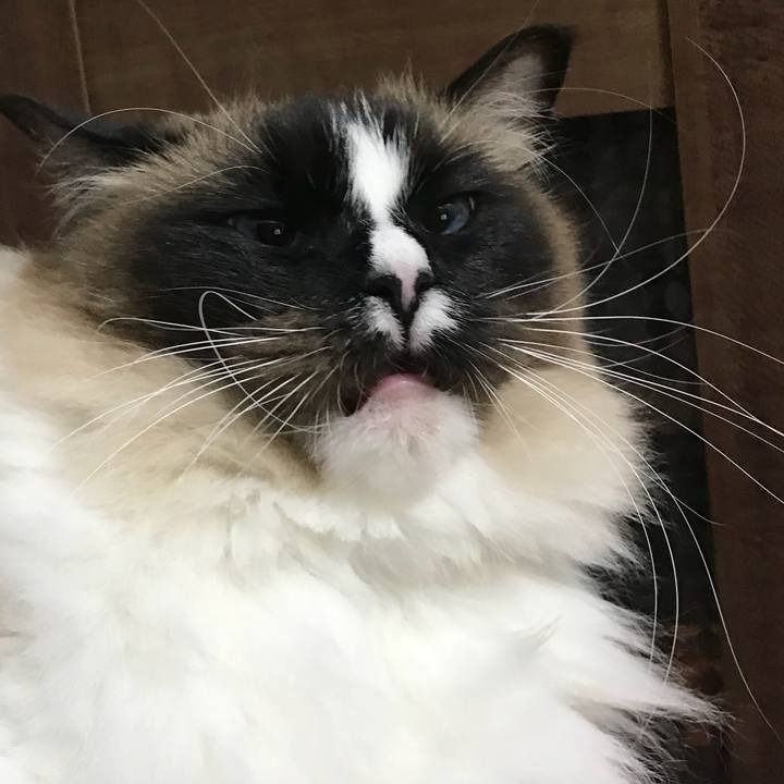 C1d84e9e c78e 4ada a009 77a1dd8a2475 1521115298533