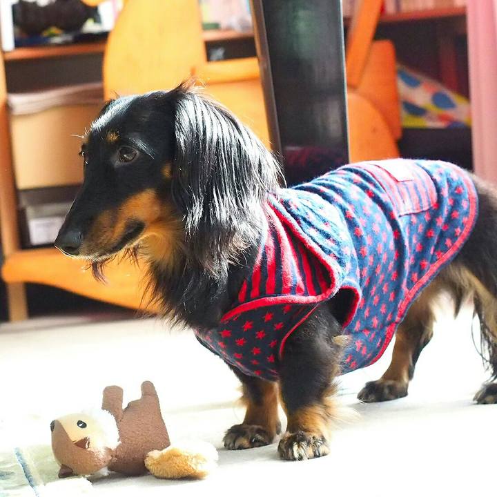 C1d851e0 b37c 40b5 ad2c 892b3c85dff4 1509590544412