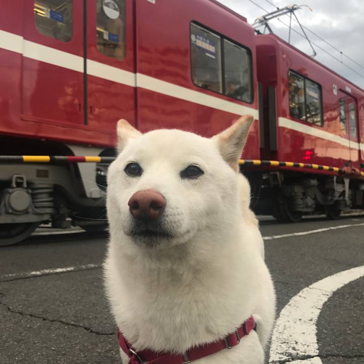 C1d86036 5d97 4472 b520 9423bb31011c 1516236313922