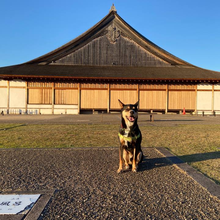 C1d88883 07c7 4239 a3a7 7945a4b8157c 1638189112087