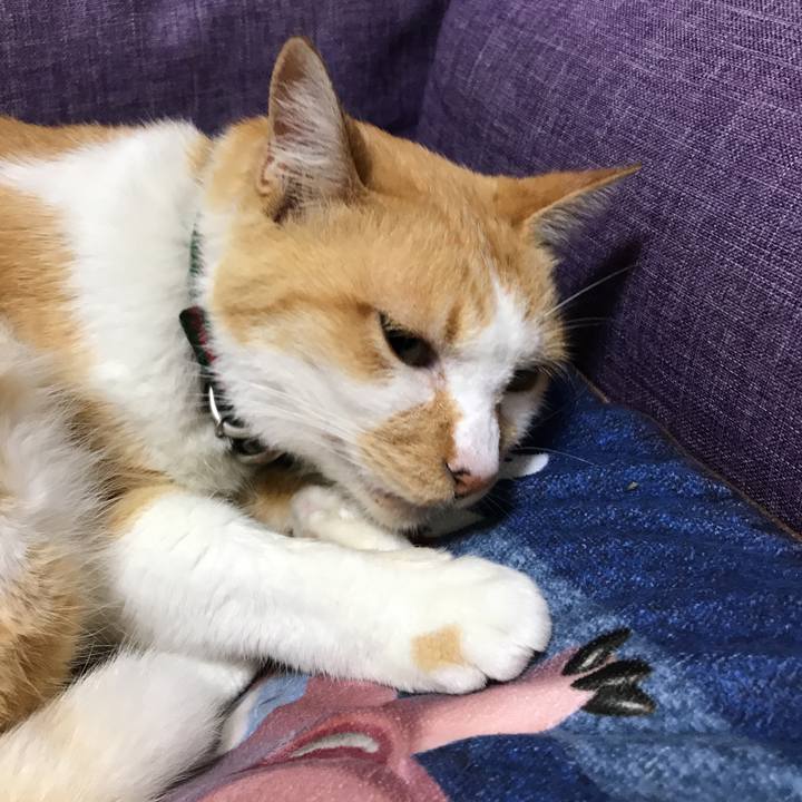 C1d88fa0 6ccd 4348 8630 f22aeb0a4588 1537528188918