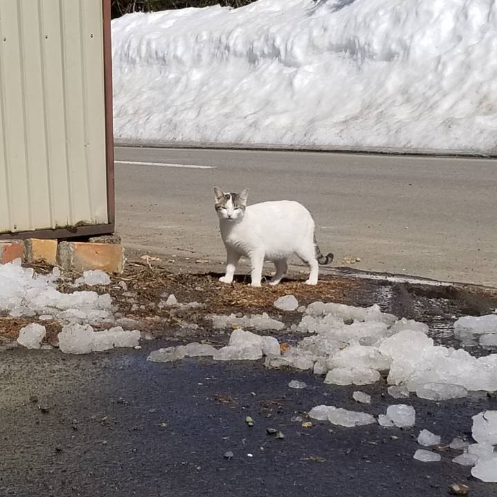 C1d9155c 0b09 4f0f a01a 61fd9731e2e6 1584508106398