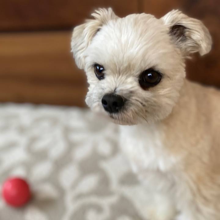 C1d91f0d c3f5 42d3 bb27 5207992da1b9 1585179377465