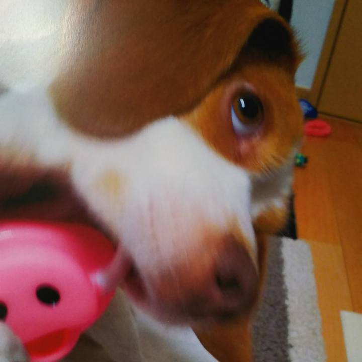 C1d934cd 180a 486f bc7f b9b0e0d2e350 1580654149991