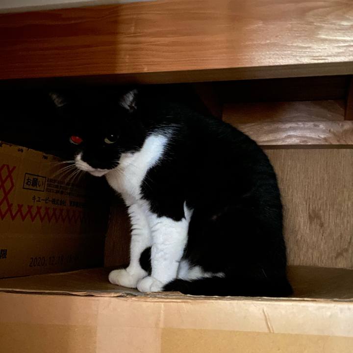 C1d95362 8b3e 43c4 9df5 75ee94ba80c1 1666171320018