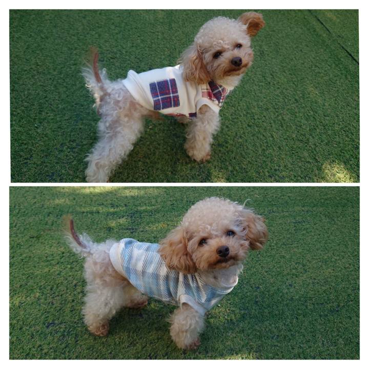 C1d9681f c862 4323 9e7f 547962da7b77 1768199684575