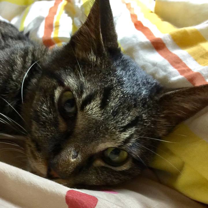 C1d98324 0466 4b7d 833f aff5012cc9e0 1535107367003