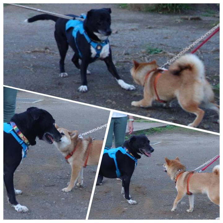 C1d99c5a fe95 4805 bb59 b84f40d2c6a4 1687000722214