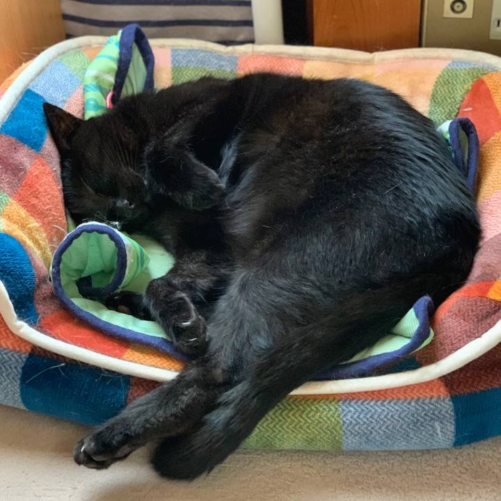 C1d9a652 505e 4efc b3b6 c44fc872773e 1601256312917