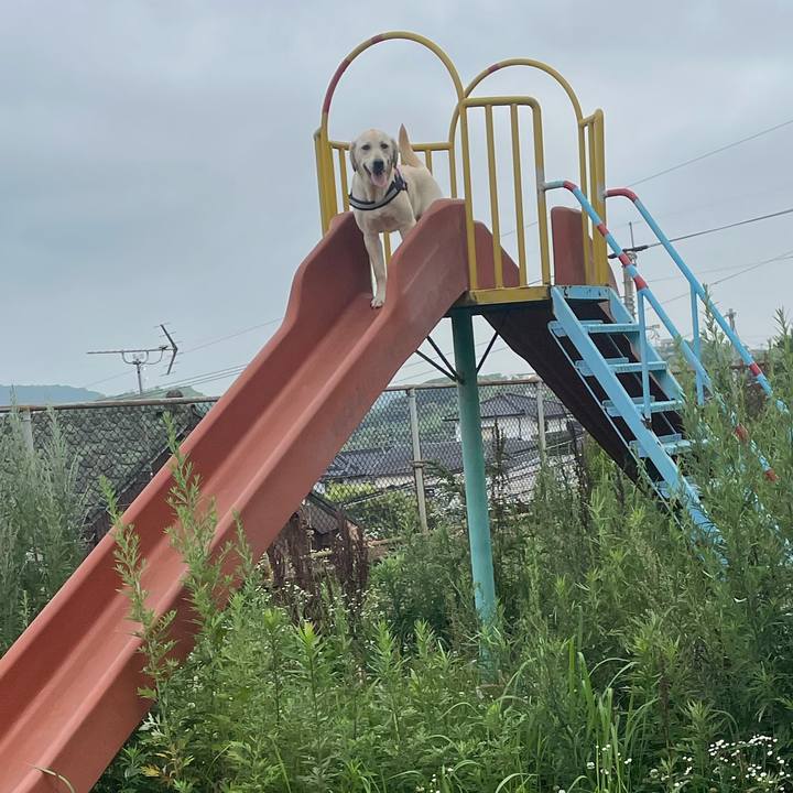 C1d9ce84 b50e 4891 b59b 86a3b6a790d7 1623712207976