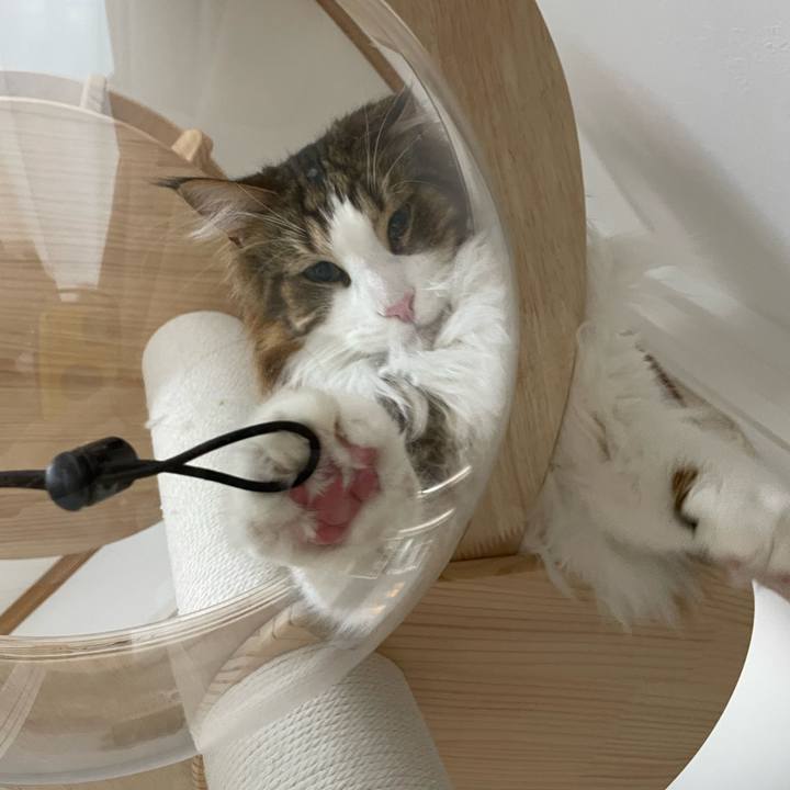 C1d9e2ad f5e7 4585 a165 37ee3c41fa9c 1680644259507