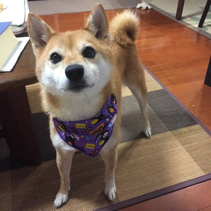 C1d9e466 8f1a 4ebe 90d7 a451e5d15724 1508410886972