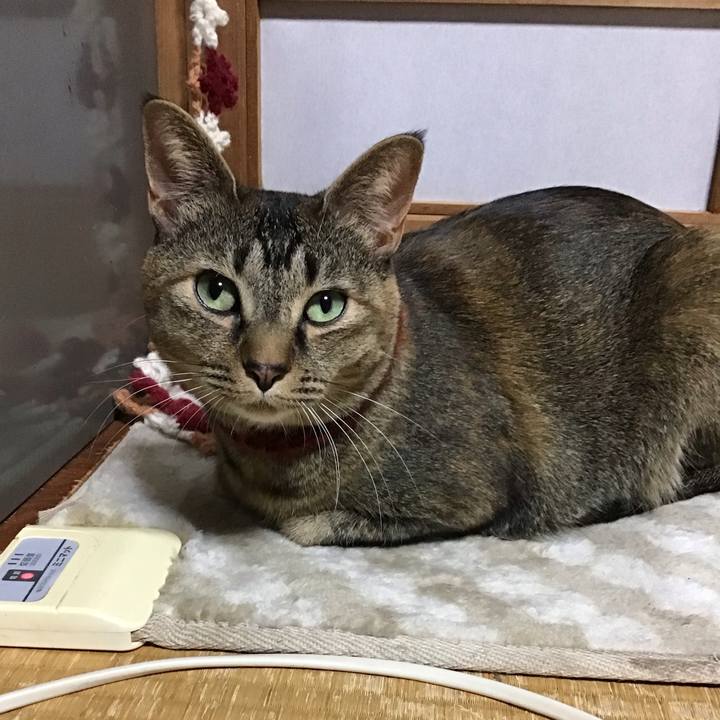 C1da47bf 21f0 4947 8722 6a7cd6b1f922 1642306586548