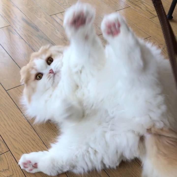 C1da52c2 9a88 4a83 b597 bd69a6de52bd 1555836592285