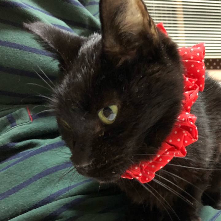 C1da5a38 cf7c 46c5 ad4f ea9fbc3d1df8 1557402280835