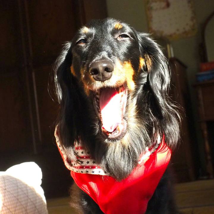 C1da6b34 82f1 4b33 85f4 ea0803b0121a 1512784036897