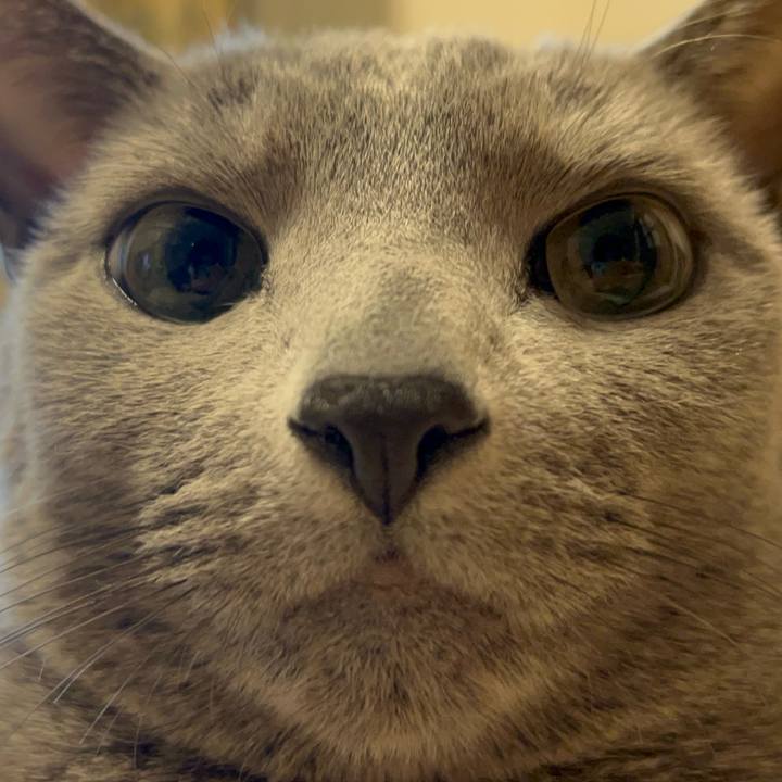 C1da97a5 bf15 4439 bbc9 9201b10163bc 1742248714395