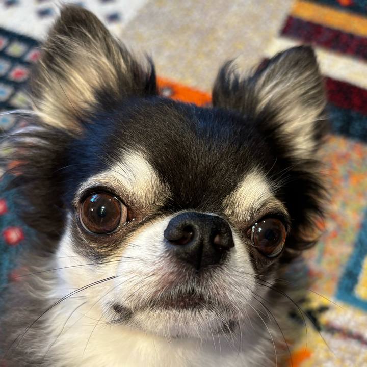 C1daaa5e 45eb 42fb 9a88 7aa333e94b50 1720221300609