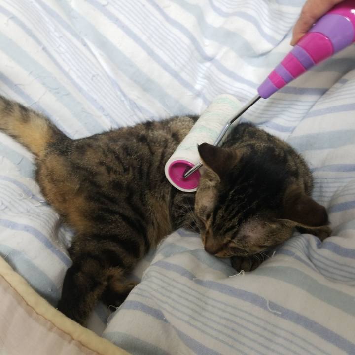 C1daf11a 3030 493f 9162 e3ef48437dc4 1579728335111