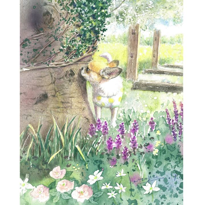 C1db2b77 2f72 4008 9cb7 33acd6748972 1653288776617