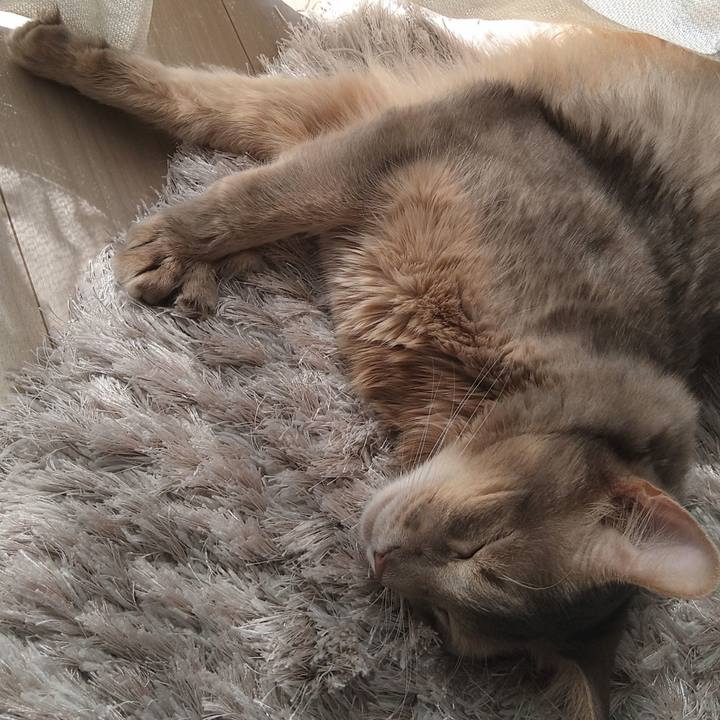 C1db2d66 b6f9 4277 8cdb 5966281b1aba 1616252206155