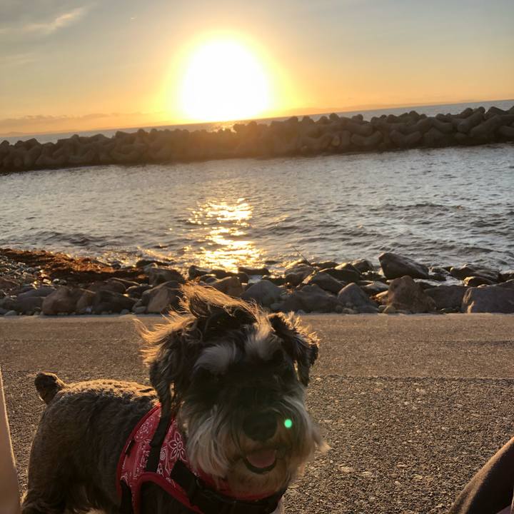 C1db4859 e999 4b23 99f4 b779eb2652d6 1592658177589