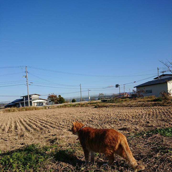 C1db71a3 6bd5 4864 b85f 74774ced3720 1573367224947