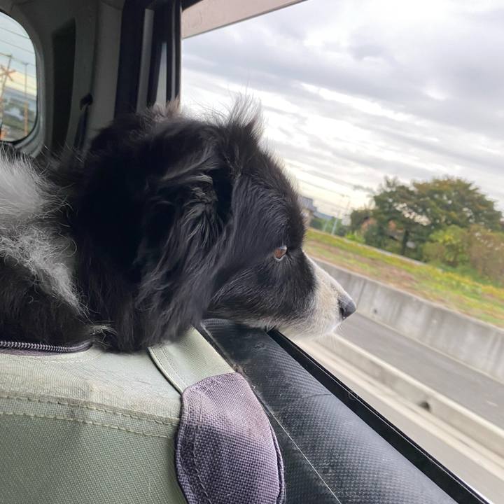 C1db9e6a 7a7b 4973 9dc0 629e8f03668b 1699481471965