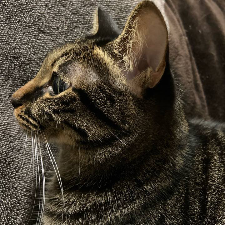 C1dbba9a 60da 4ebd b056 81ec2247563b 1700824865823