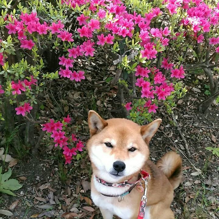 C1dbbf05 fd24 402b 9815 e72d6e8da3d4 1555984586462