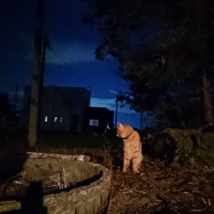 C1dbe108 f306 4466 a960 accb2a236063 1660300556794