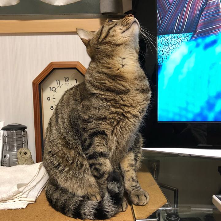 C1dc35f6 74ec 4e69 ba4c 3f9e9d60d1b2 1516193192176