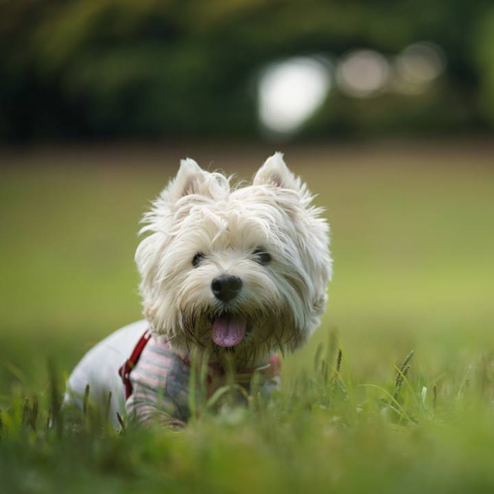 C1dc3cf5 6844 4b59 b6eb 2acb76e35327 1528112136507